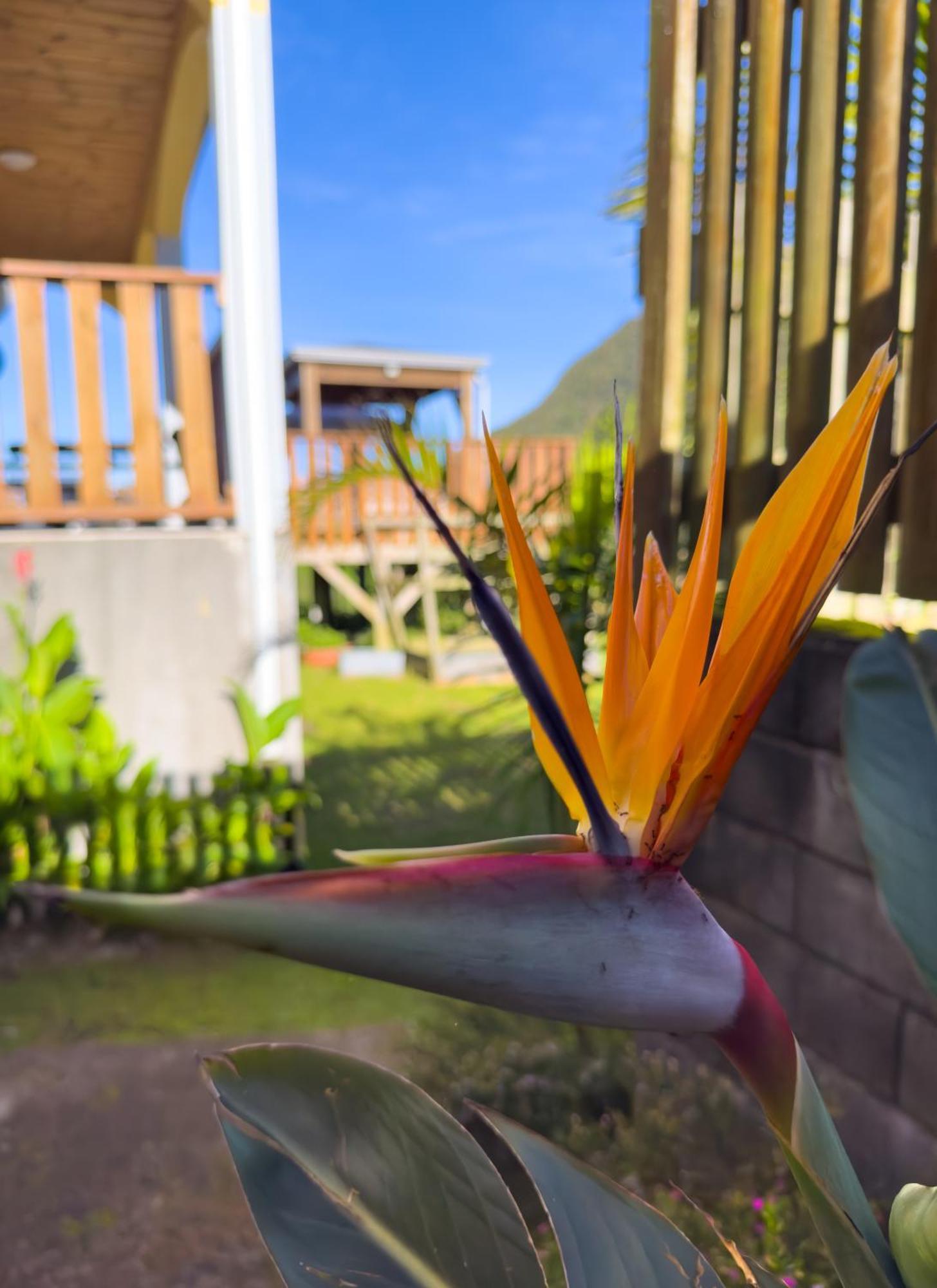 La Villa Dos D'Ane La Possession Ngoại thất bức ảnh